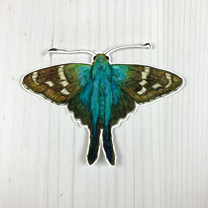 Long Tailed Skipper Butterfly Vinyl Sticker