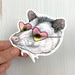 Opossum Sunglasses Matte Vinyl Sticker