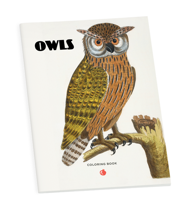 Owls Coloring Book