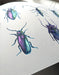 Art Lab Inspired Acrylic- Metallic Beetles Experience