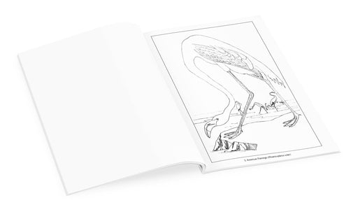 John James Audubon: Birds Coloring Book, inside page