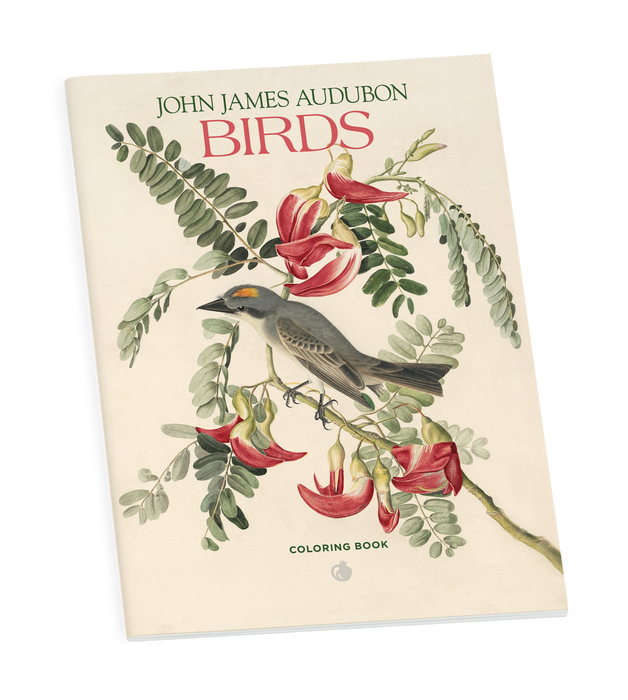 John James Audubon: Birds Coloring Book