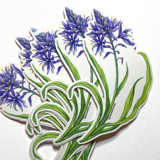 Camas Flower Transparent Vinyl Sticker