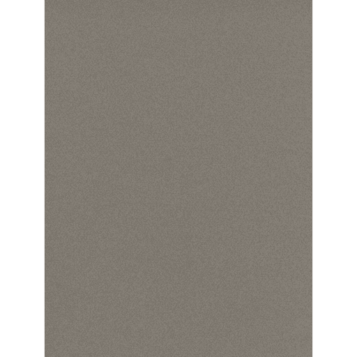 Canson Mi-Teintes Paper Sheet 19”x25” | Canson