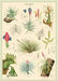 Cavallini & Co. Decorative Paper 20X28 | Cavallini & Co.