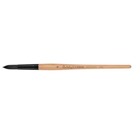 Catalyst Polytip Long Handle Bristle Brushes | Princeton Art & Brush Co